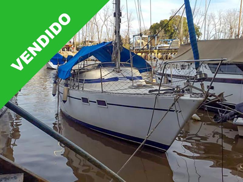REPUNTE 32