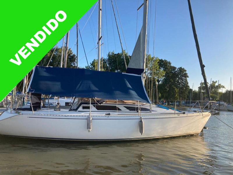 PANDORA 34