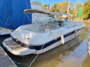 Mediterranean 40